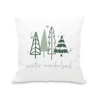 Personalized 18” x 18” Square Throw Pillow Cover and Insert Set - Winter Pines